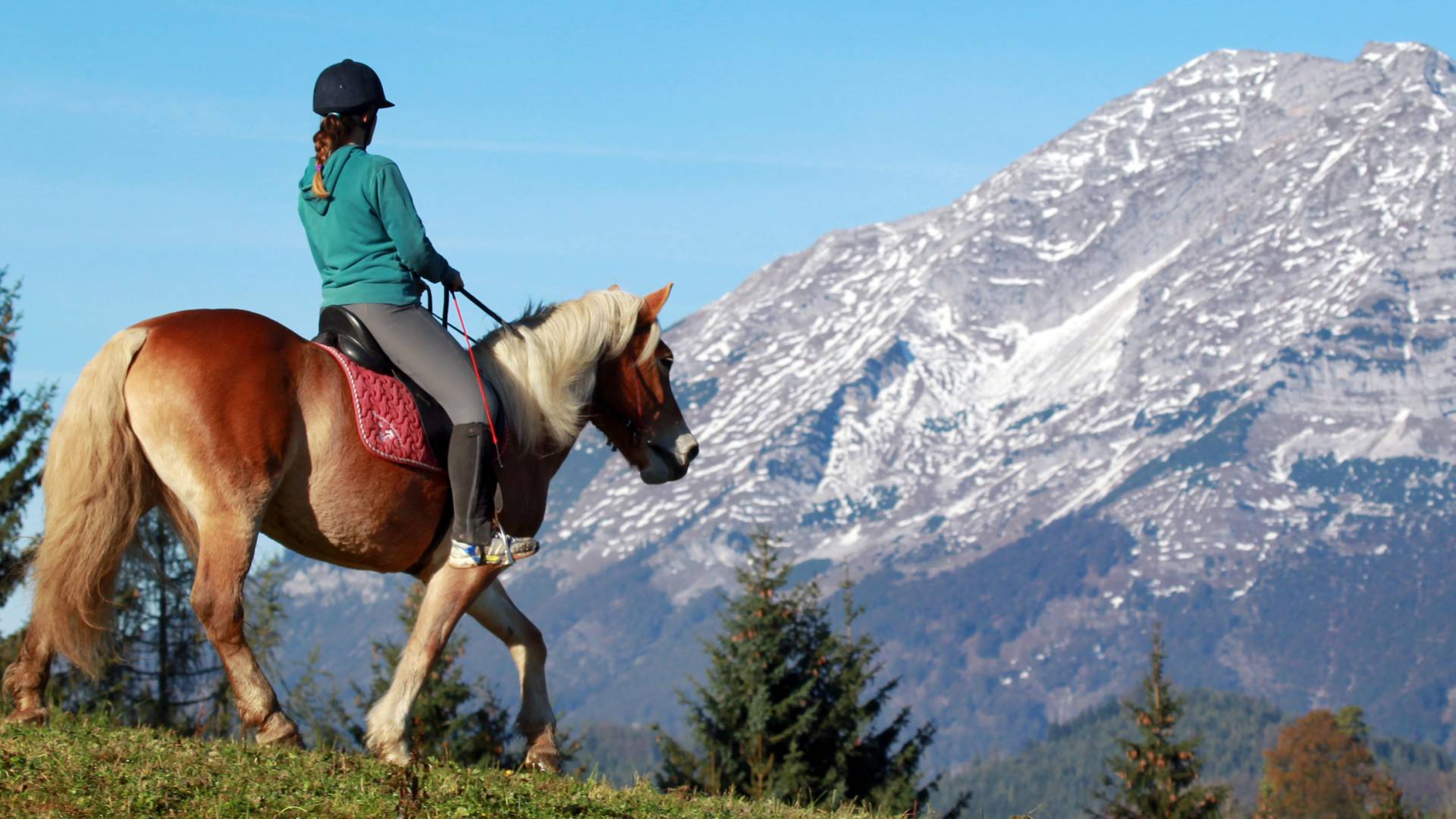 Frau beim Reiten nähe des Reithotels in Österreich