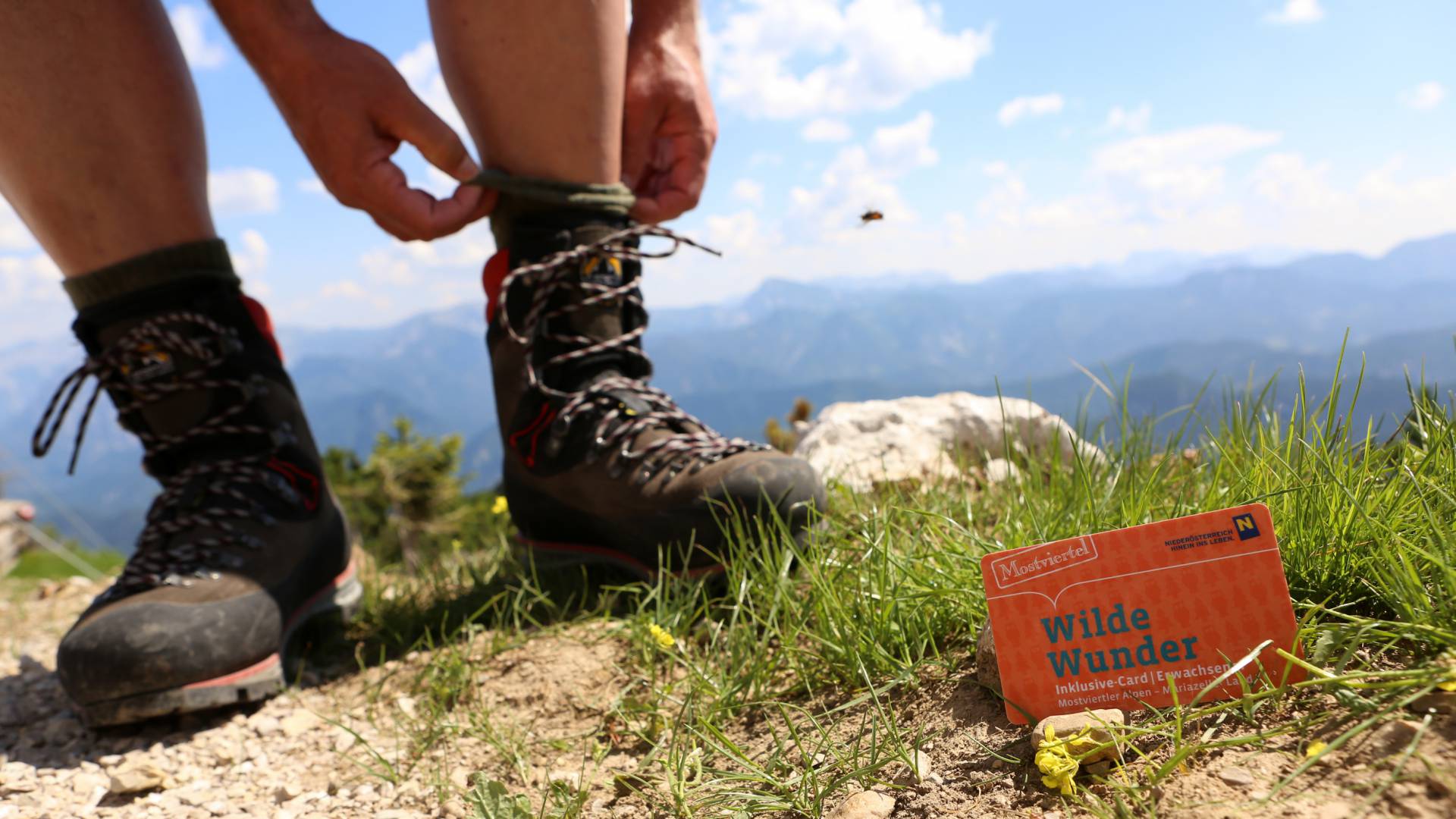 Wandern mit Wilde Wunder Card am Hochkar