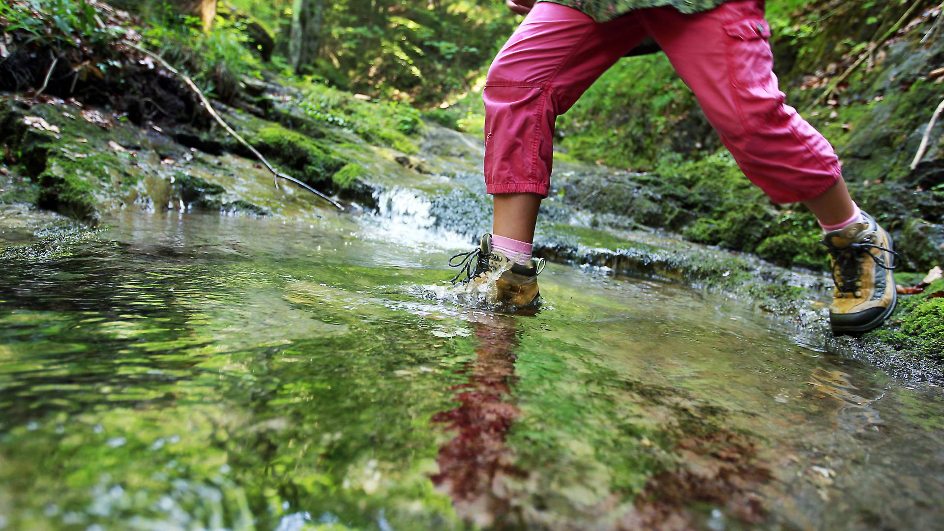 Wandern mit Schlucht in Niederösterreich