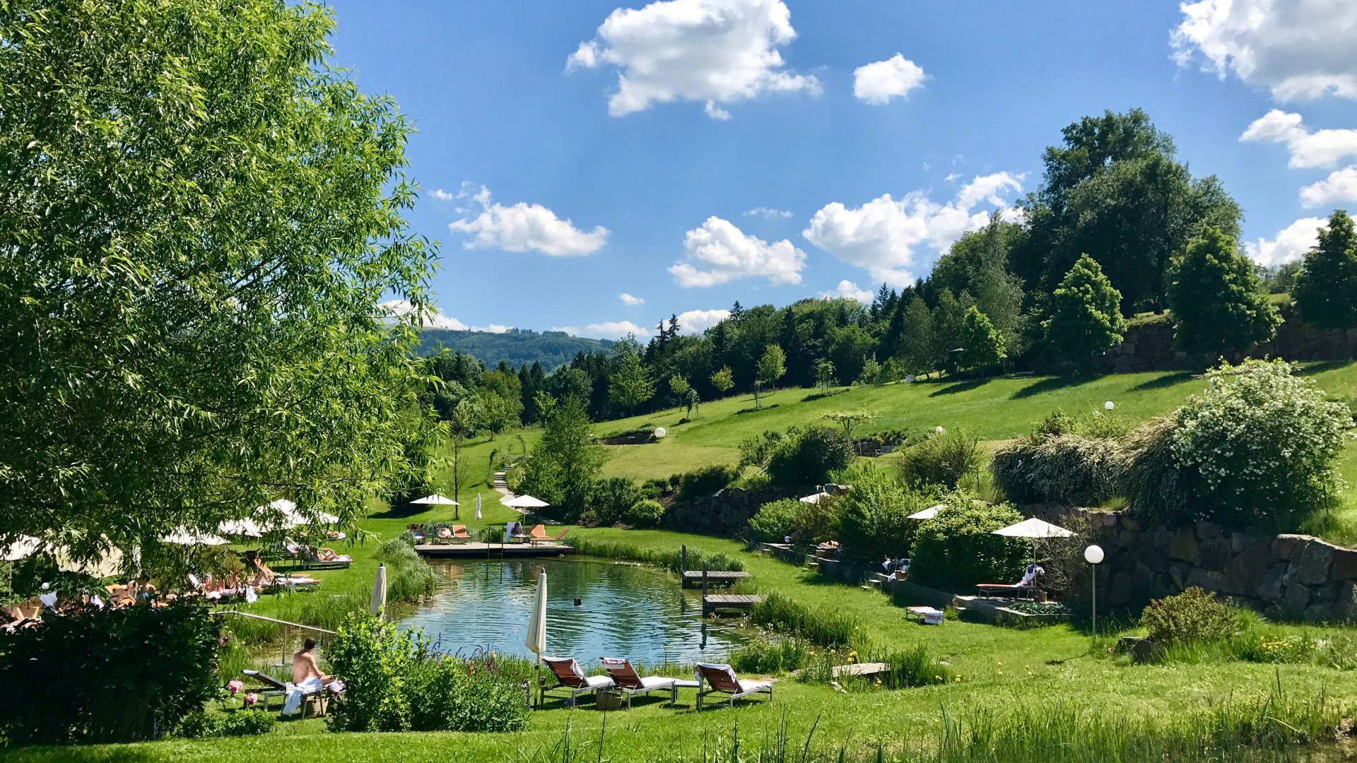 Wellnessurlaub mit Naturbadeteich in Österreich