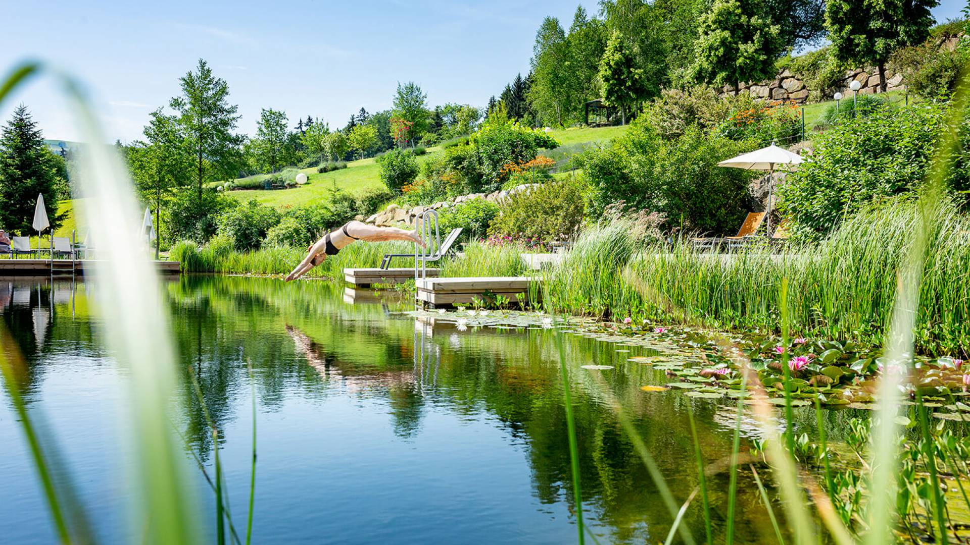 cool off in the biotope