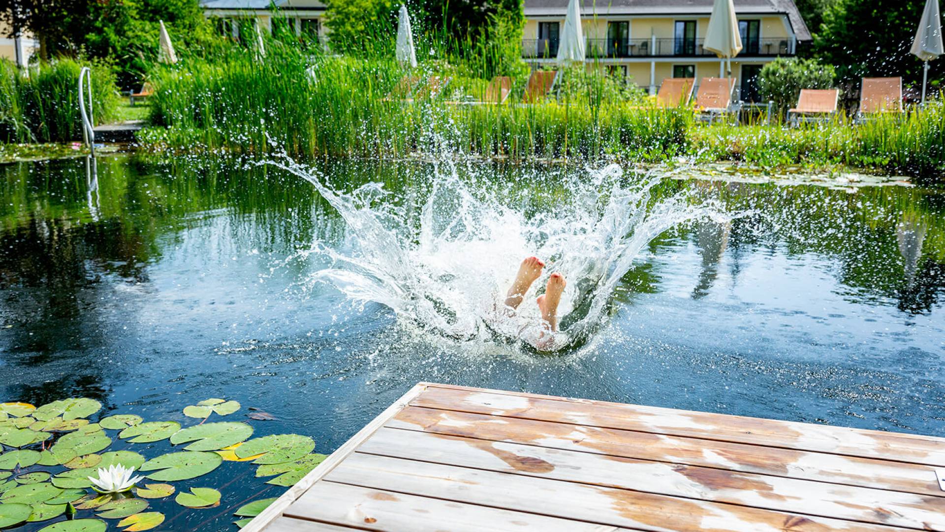 Eintauchen in den Naturschwimmteich