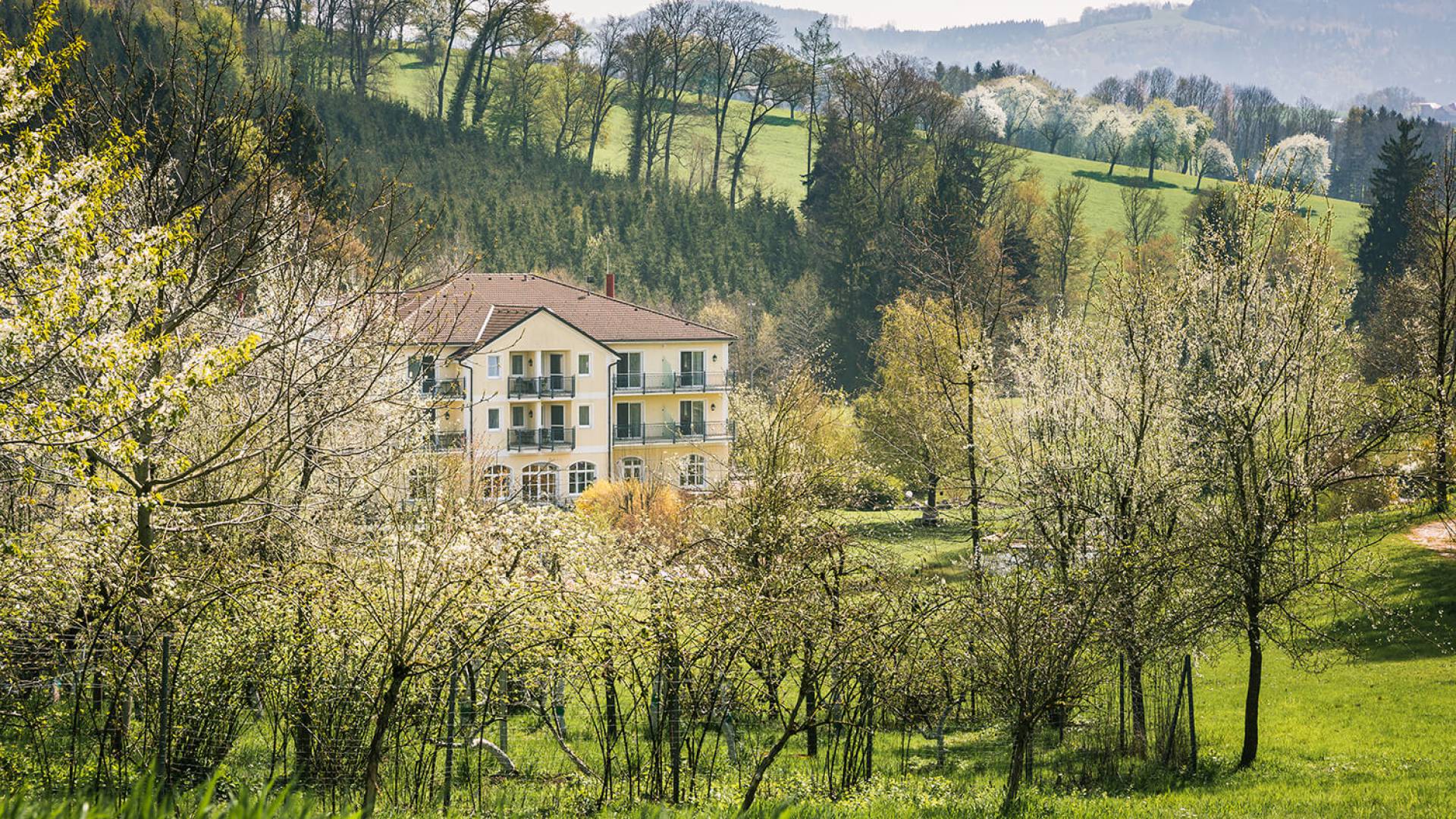 RelaxResort Kothmühle