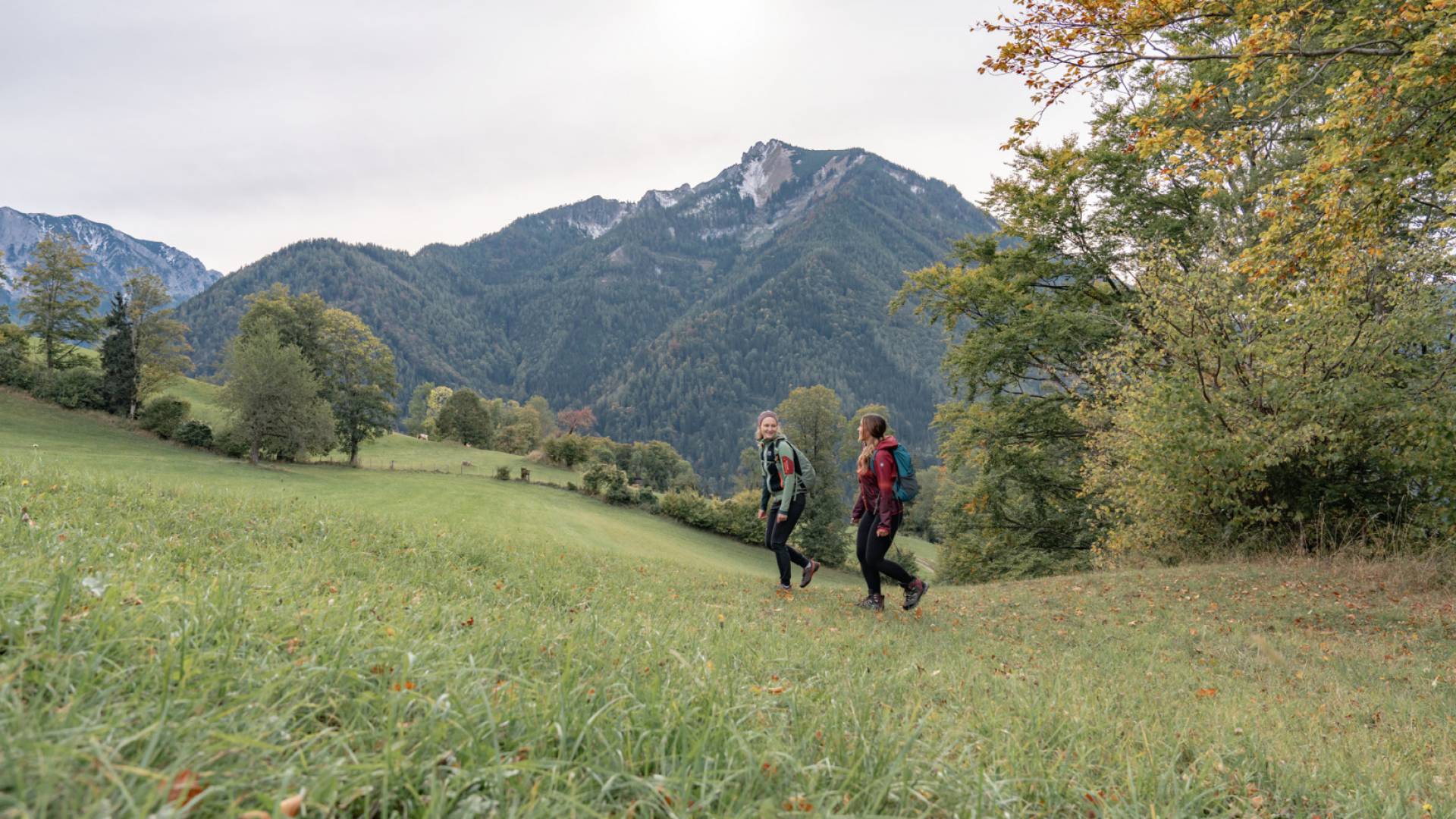 Wandern im Mostviertel