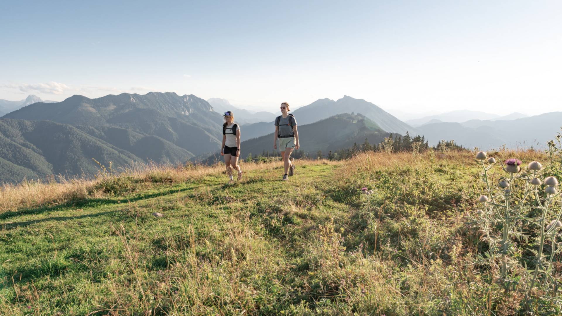 Wandern im Mostviertel