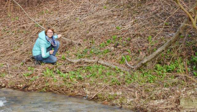 Was Barlauch Alles Kann Relax Resort Kothmuhle