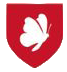 Icon Vielfalt im Fokus