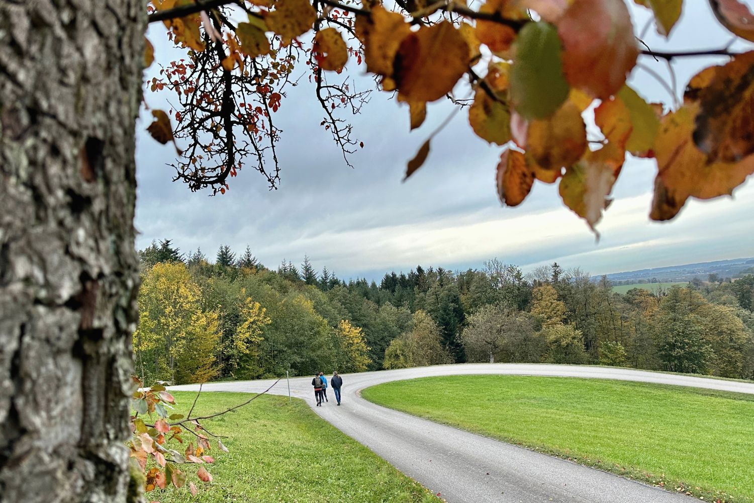Pilgern von Bio-Hof zu Bio-Hof im Mostviertel