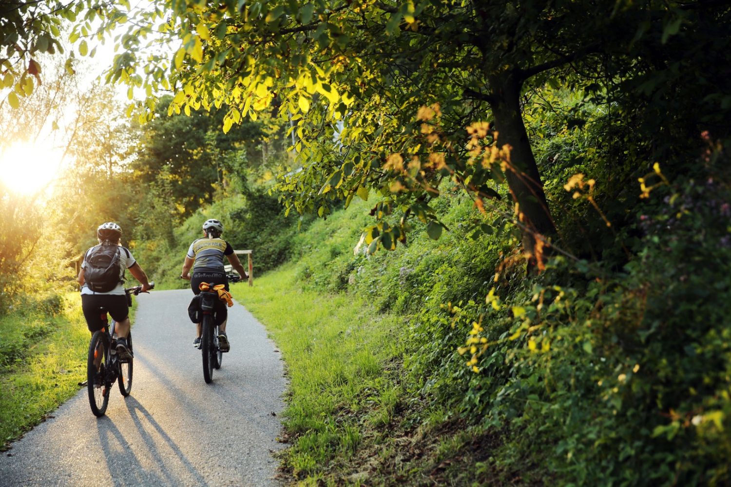 E-Bike-Tour zum Mostbrunnen im Mostviertel